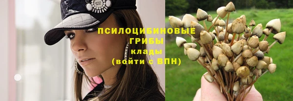 mdpv Нея
