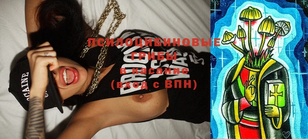 mdpv Нея
